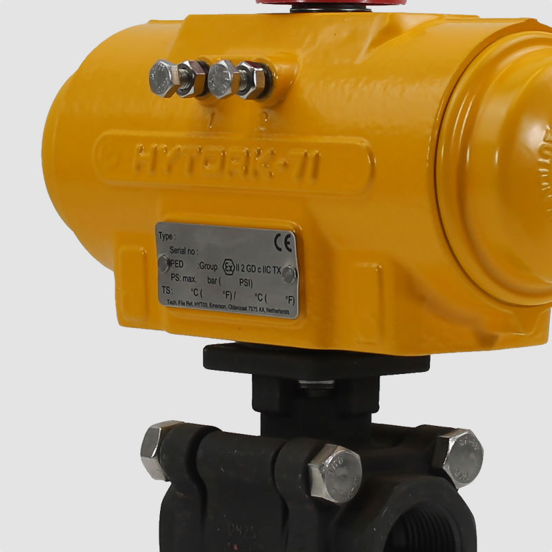 Hytork Actuator Actuated Valves