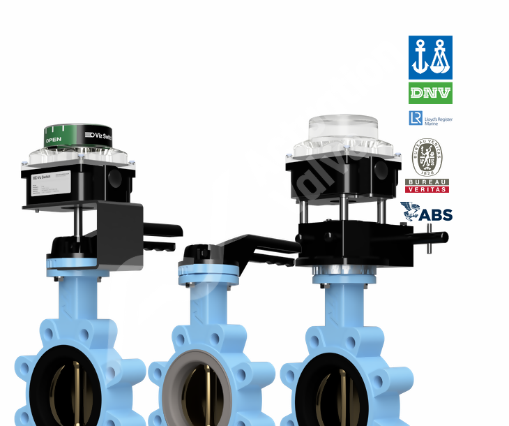 Carbon Steel Lugged Bronze Disc