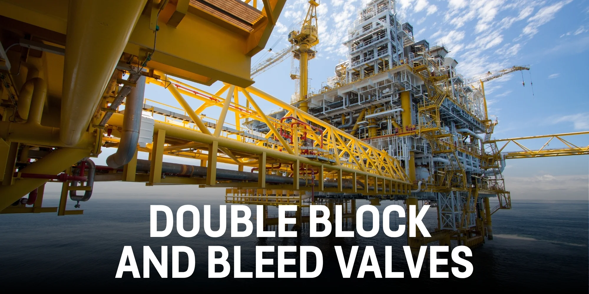 Double Block and Bleed Valves.jpg