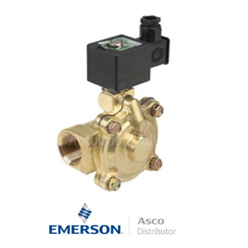 RP 7/1 SCE210D008 Asco General Service Solenoid Valves Pilot Operated 24 VDC Stainless Steel
