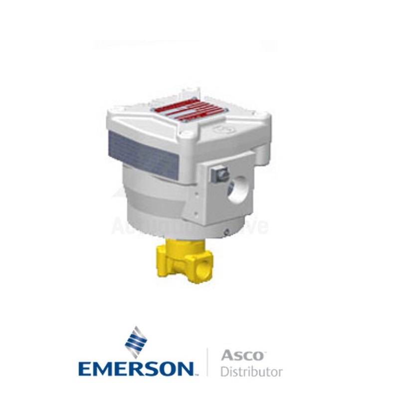 0.25" BSPP NFG262C023V Asco General Service Solenoid Valves Direct Acting 24 VDC Stainless Steel