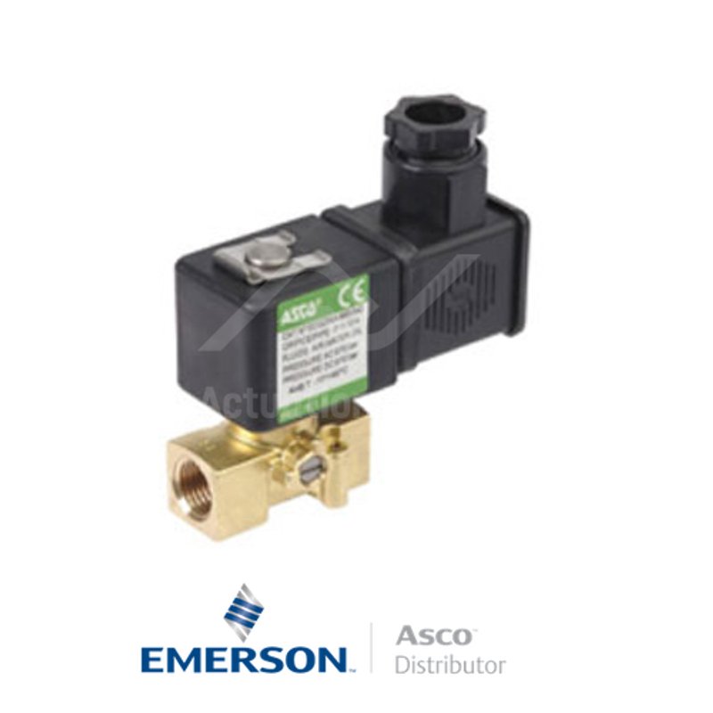 0.25" BSPP SCXG256B404VMS Asco General Service Solenoid Valves Direct Acting 24 VDC Stainless Steel