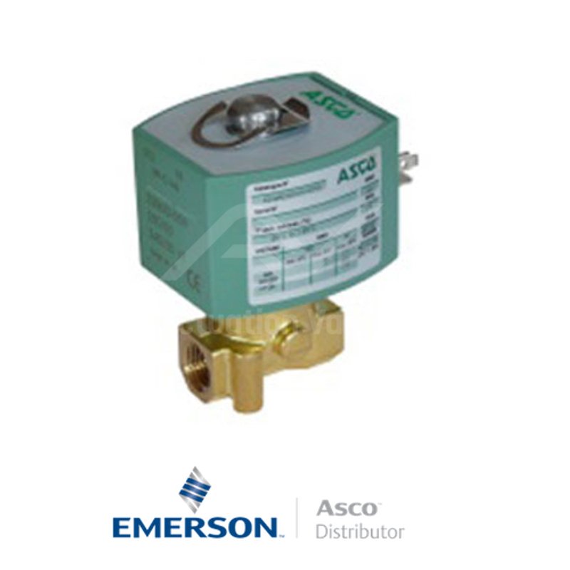 0.25" BSPP E262K208S0E00H1 Asco General Service Solenoid Valves Direct Acting 24 VDC Stainless Steel