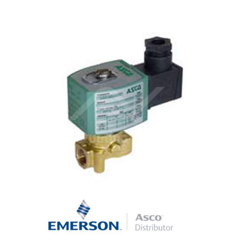 0.125" BSPP G262K002S1N00FT Asco Numatics General Service Solenoid Valves Direct Acting 115 VAC Stainless Steel
